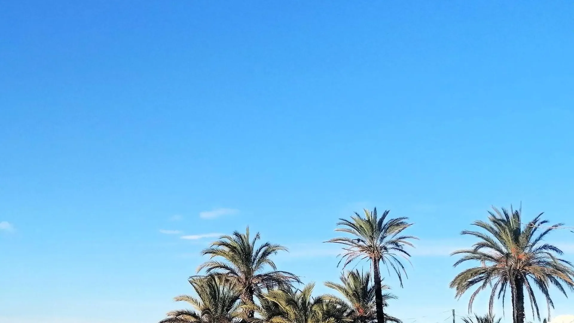 Apto En 2ª Linea De Playa Con Terraza, Wifi Y Parking Comunitario En Santa Margarita, Roses - Es-258-67